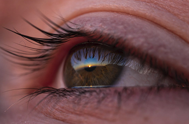 Renacer a través del Arte: Renacer a través del Arte: